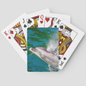 Dolphin In Milford Sound,ニュージーランド トランプ (裏面)