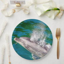 Dolphin In Milford Sound，ニュージーランド