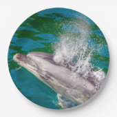 Dolphin In Milford Sound，ニュージーランド ペーパープレート (正面)