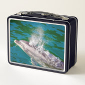 Dolphin In Milford Sound，ニュージーランド メタルランチボックス (裏面)