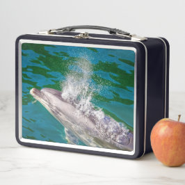 Dolphin In Milford Sound，ニュージーランド メタルランチボックス
