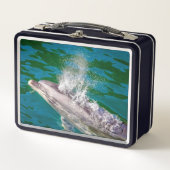 Dolphin In Milford Sound，ニュージーランド メタルランチボックス (正面)