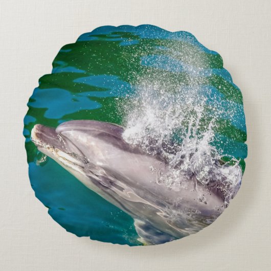 Dolphin In Milford Sound，ニュージーランド ラウンドクッション (正面)