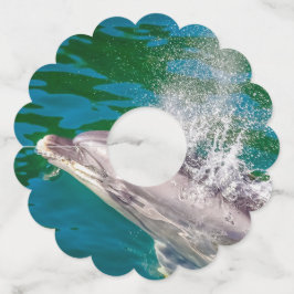 Dolphin In Milford Sound，ニュージーランド ワイングラスタグ