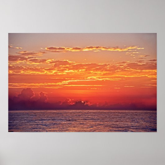 Dolphin Leaping at Sunrise ポスター (正面)