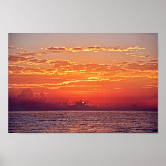 Dolphin Leaping at Sunrise ポスター (正面)