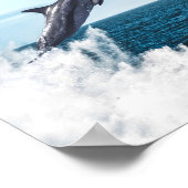 Dolphin leaping out of the ocean ポスター (角)