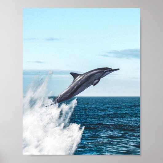 Dolphin leaping out of the ocean ポスター (正面)