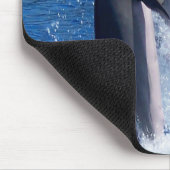 Dolphin Photography Design マウスパッド (コーナー)