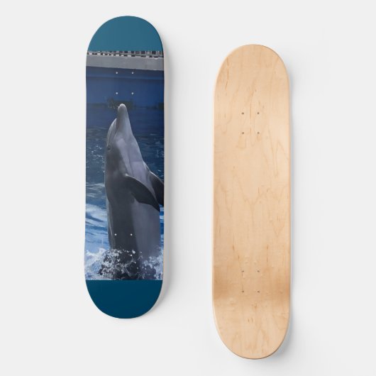 Dolphin Skateboard スケートボード (正面)