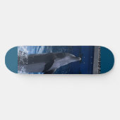 Dolphin Skateboard スケートボード (横)