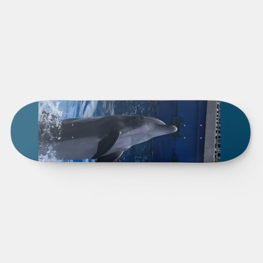 Dolphin Skateboard スケートボード (横)