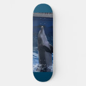 Dolphin Skateboard スケートボード (正面)