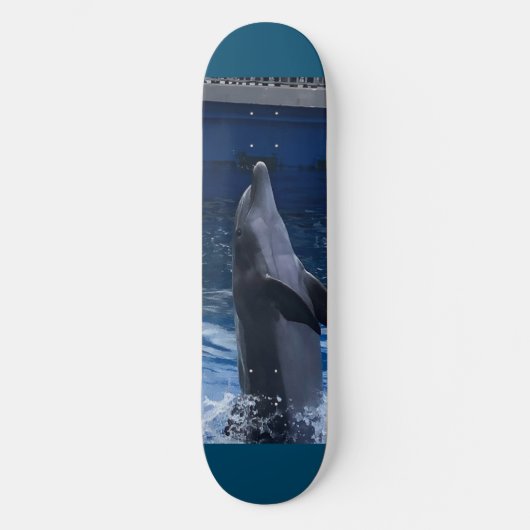 Dolphin Skateboard スケートボード (正面)