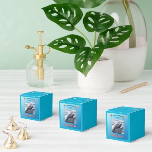 Dolphin Splash Party フェイバーボックス (複数)