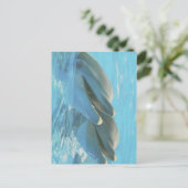 Dolphins Cozumel, Mexico Postcard ポストカード (スタンド正面)