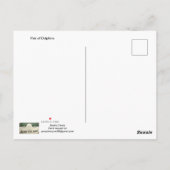 Dolphins Cozumel, Mexico Postcard ポストカード (裏面)