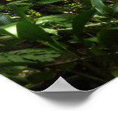 Dominican Rain Forest I Tropical Green Nature ポスター (角)