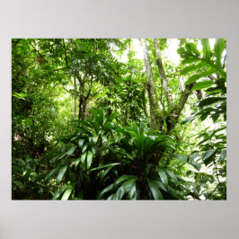 Dominican Rain Forest I Tropical Green Nature ポスター