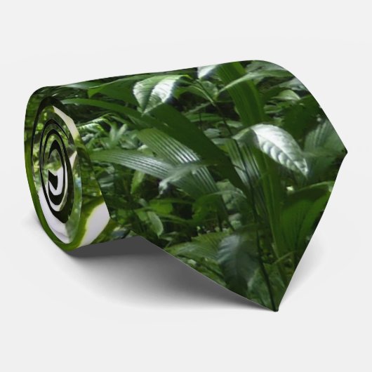 Dominican Rain Forest II Tropical Green ネクタイ (ロール)