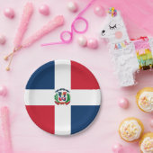 Dominican Republic flag Paper Plate ペーパープレート (パーティー)