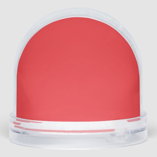 DONALD TRUMP CHRISTMAS SNOW GLOBE (裏面)