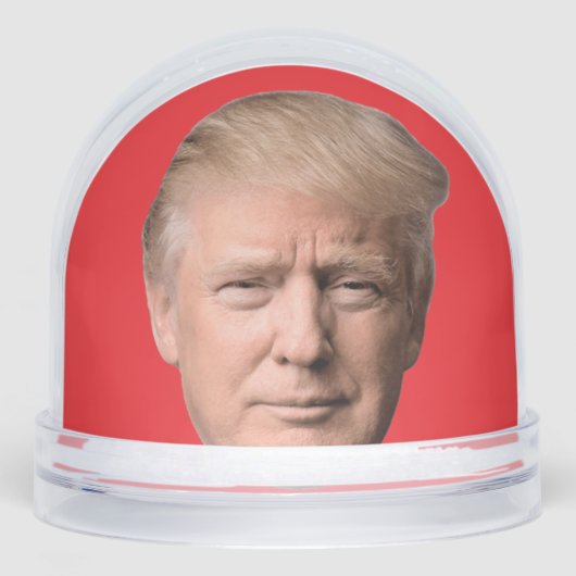 DONALD TRUMP CHRISTMAS SNOW GLOBE (正面)