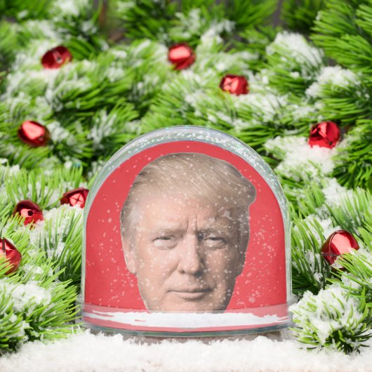 DONALD TRUMP CHRISTMAS SNOW GLOBE (クリスマス)