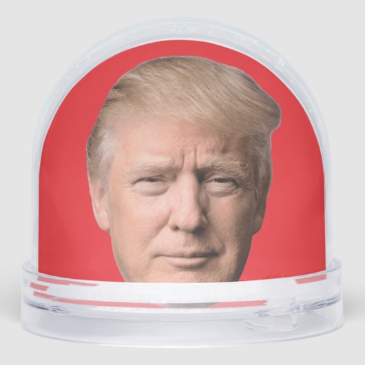 DONALD TRUMP CHRISTMAS SNOW GLOBE (裏面)