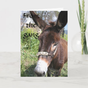 DONKEYグループの誕生日の願い カード