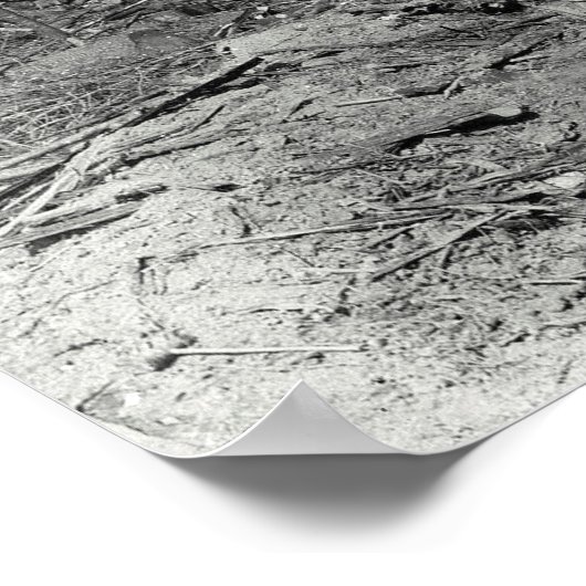 DONKEY丘の中腹c.1880 ポスター (角)