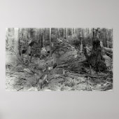 DONKEY丘の中腹c.1880 ポスター (正面)