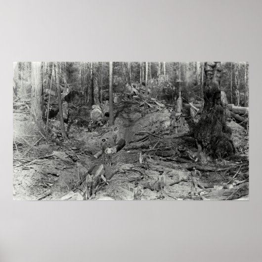 DONKEY丘の中腹c.1880 ポスター (正面)