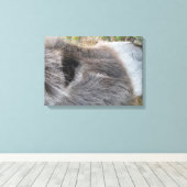 Donkey閉じる – 顔の上 キャンバスプリント (インサイチュ (ウッドフロア))