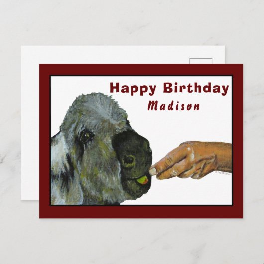 Donkey食べのApple製はがき ポストカード (正面/裏面)