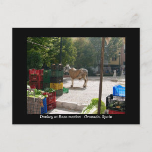 Donkey at Baza market – グラナダ,スペイン ポストカード