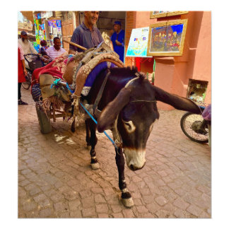 Donkey & Cart in the Medina - Marrakech，モロッコ フォトプリント
