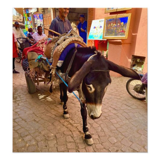 Donkey & Cart in the Medina - Marrakech,モロッコ フォトプリント (正面)
