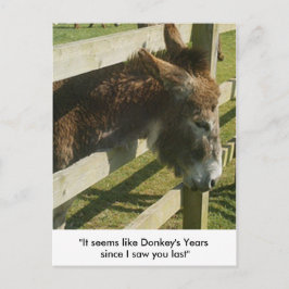 Donkey Greetingsはがき ポストカード