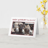 Donkey Groupユーモアのある誕生日、All Us カード (黄色い花)