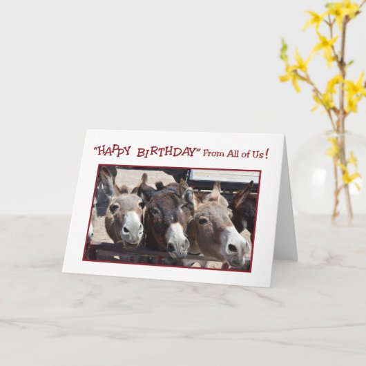 Donkey Groupユーモアのある誕生日、All Us カード (黄色い花)