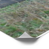 Donkey in an Autumn Field Postcard ポスター (角)