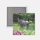 Donkey in Garden magnet マグネット (正面/裏面)