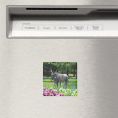 Donkey in Garden magnet マグネット (インサイチュ (食洗機))