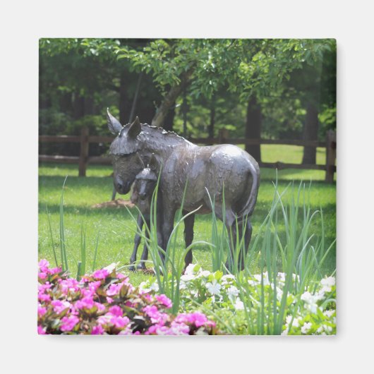Donkey in Garden magnet マグネット (正面)