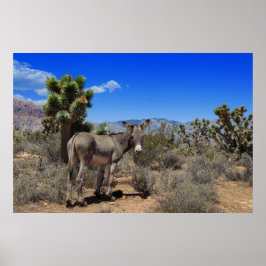 Donkey In the Desert in Las Vegas, NV ポスター