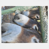 Donkey Loveフリースブランケット、Large 60" x 80" フリースブランケット (正面(横))