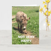 DONKEY NOT VERY HAPPY SAD/BLUE - LIFE WITHOUT YOU! カード (黄色い花)