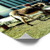 Donkey Town Oatman Arizona ポスター (角)