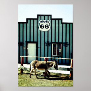 Donkey Town Oatman Arizona ポスター